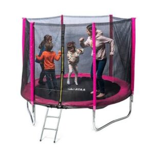 cama elastica 2026